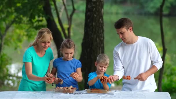 お父さん お母さんと子供たちは串焼きに肉を漬けました 公園での家族のピクニック — ストック動画