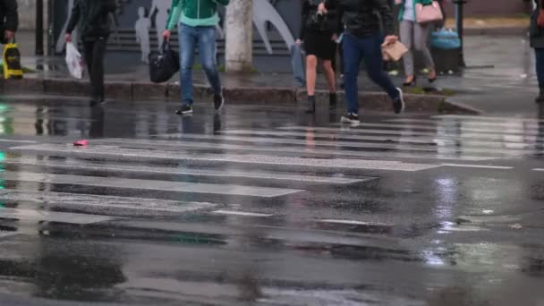 雨の中 多くの人が横断歩道で通りを横断している 足を閉じて — ストック動画