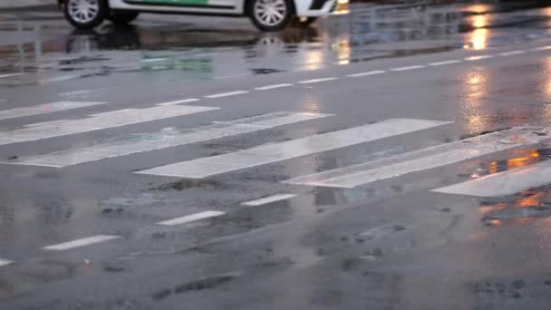 Molte Persone Attraversano Strada Marciapiede Pedonale Durante Pioggia Sera Gambe — Video Stock