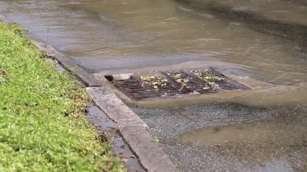 Rain Flowing Storm Water Sewer System Storm Sewer Heavy Rain — Stock Video