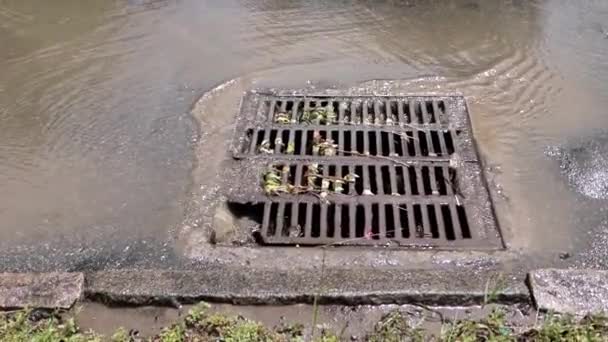 雨水流入雨水下水道系统 暴雨过后的暴雨下水道 — 图库视频影像