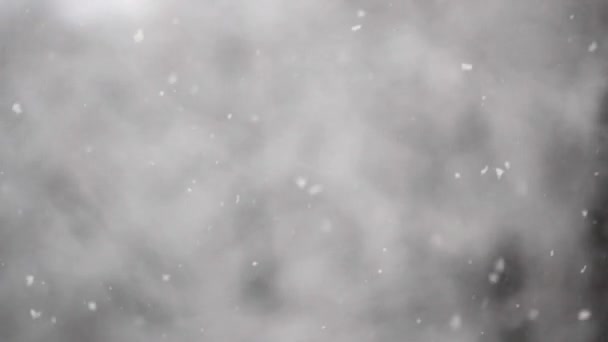 Zimowe Opady Śniegu Śnieg Wolny Ruch Świeżym Powietrzu Naturalnym Tle — Wideo stockowe