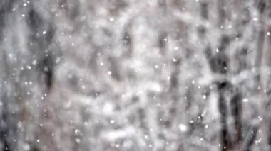Kış karı. Kar Yavaş çekim doğal arka planda. Kar yağışlı kış günlerinde karlı hava. Bulanık soyut arkaplan.