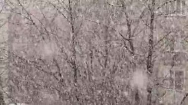 Şehirde kar fırtınası. Apartmanın arka planına kar yağıyor.