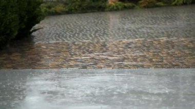 Gün boyunca parkta yoğun yağmur damlaları var. Arka plan konsepti Yağmurlu sürüş Sağanak yağmurlu ses