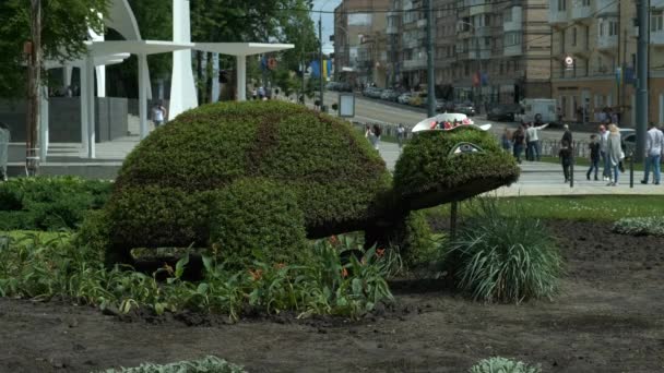 Ukraine Vinnitsa June 2019 Sobornaya Street Turtle Created Bushes Green — Stock Video