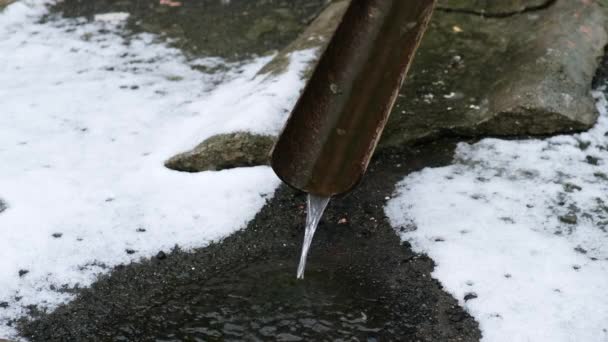 Schmelzwasser Fließt Durch Ein Regenabflussrohr Konzept Des Einsetzenden Frühlings Schmelzender — Stockvideo