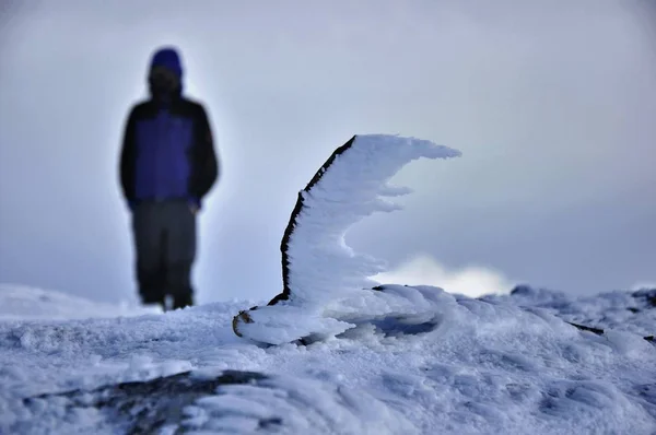 Gita Montagna Invernale Ucraina — Foto Stock