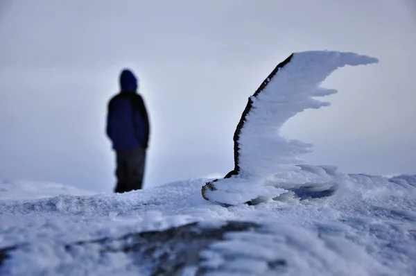 Escursioni Invernali Paesaggi Bellissimi — Foto Stock