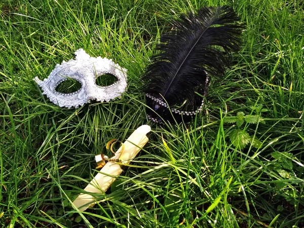 Masquerade Mask Grass — Stock Photo, Image