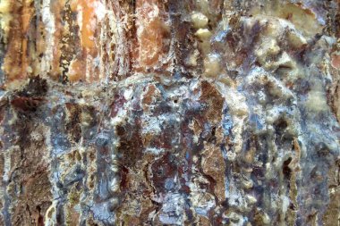 Ahşap doku arka plan, ağaç