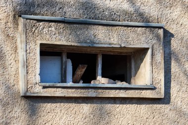 Bina yok, terk edilmiş bir binada ağaçlar büyümek