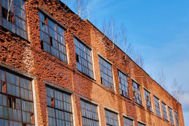 Bina yok, terk edilmiş bir binada ağaçlar büyümek