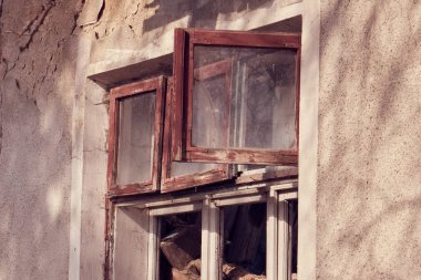Bina yok, terk edilmiş bir binada ağaçlar büyümek