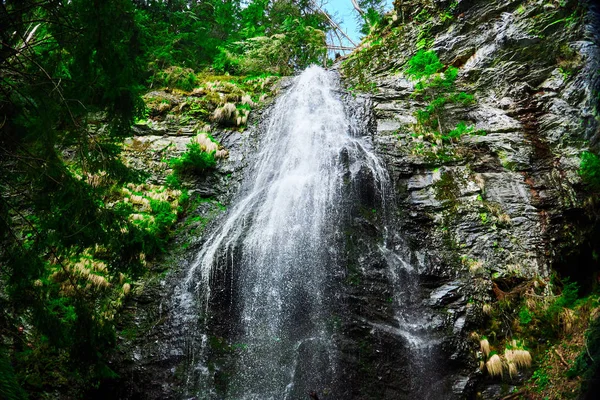 high mountain waterfall in the woods , Yalinsky mountain waterfall , Ukraine , Carpathians