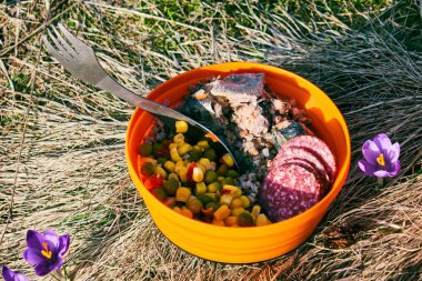dinner tourist at camping , a folding plate and a cup on the grass among the crocus flowers on the background of the sunset clipart