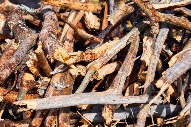 Kamp ateşi üzerinde bir tencerede yemek pişirme, yürüyüşte lapa pişirme