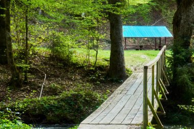 Kamp için güzel bir yer