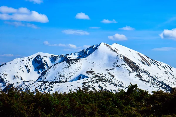 Paisagens de inverno de ucranianos e romenos Cárpatos, montanha de neve com céu azul — Fotografia de Stock