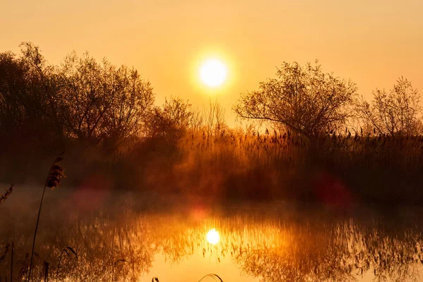Nascer do sol no lago, o brilho do sol na água — Fotografia de Stock