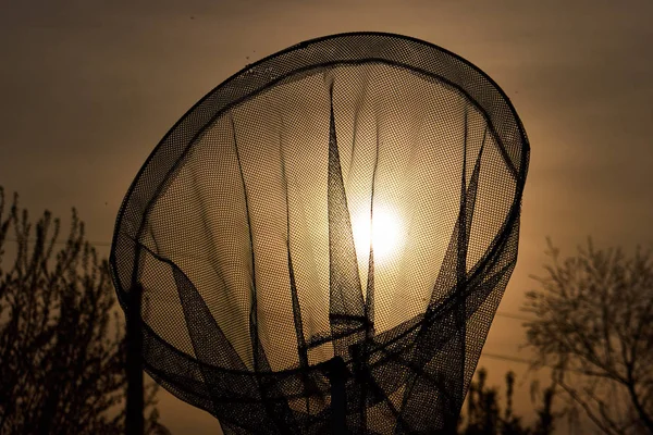 Equipamento de pesca para pesagem de peixes, rede de pesca no contexto do pôr do sol — Fotografia de Stock