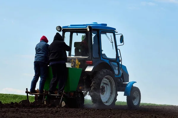 Een tractor op het veld plantaardige aardappelen en cultiveert de grond, het planten van aardappelen met een kleine trekker — Stockfoto