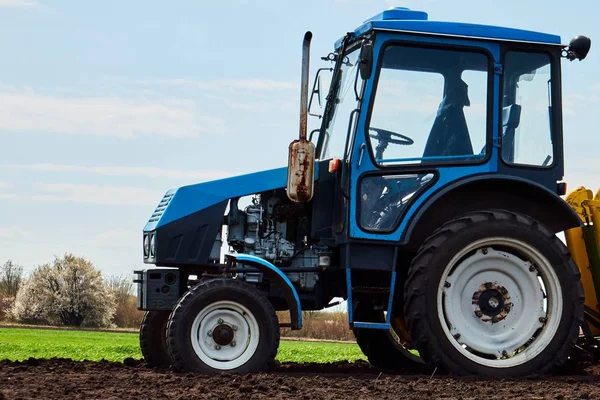 A tractor on the field plant potatoes and cultivates the ground , Planting potatoes with a small tractor — Stock Photo, Image