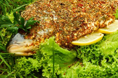 yeşil arka plan üzerinde yanan baharat ve sebze ile pişmiş sazan