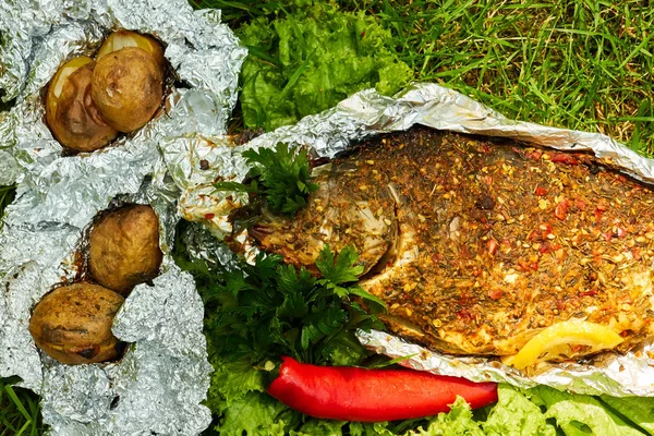 Baked fish with vegetables on vacation in the forest — Stock Photo, Image