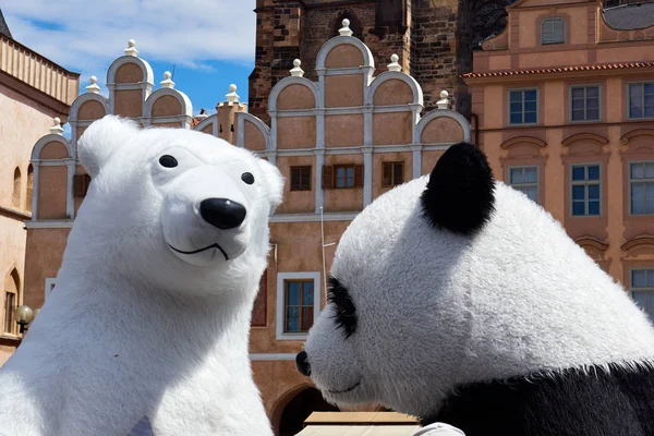 Büyük kutup ayısı ve panda maskesi — Stok fotoğraf