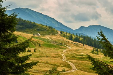 kadın bir sırt çantası ile bir dağın tepesine tırmanıyor