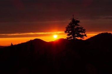 dağ çayırında güzel gün batımı