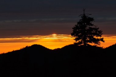 dağ çayırında güzel gün batımı