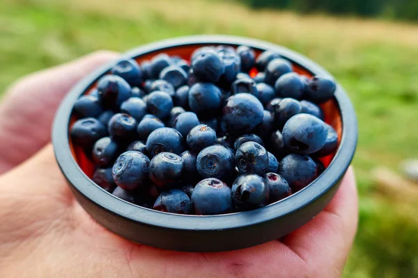 Woman holding silicone cup with blueberries — Stock Photo, Image