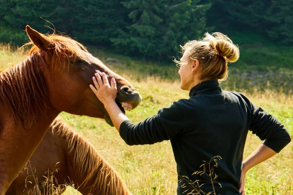 Femme touristique caressant un cheval dans les montagnes — Photo