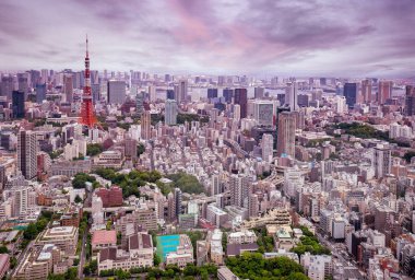 dus, Tokyo şehrin havadan görünümü