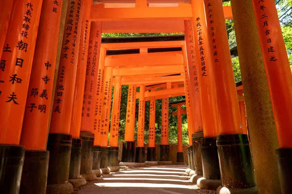 Túnel Torii Rojo Santuario Fushimi Inari Kioto Japón —  Fotos de Stock