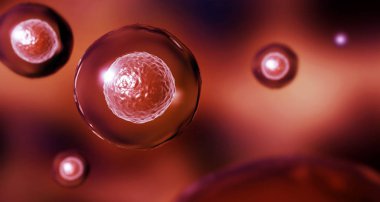 kırmızı arka planda embriyonik kök hücreler, 3d illüstrasyon