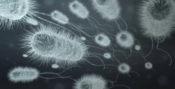 Coli Bakteri Hücreleri Grubu Siyah Beyaz Resimleme — Stok fotoğraf