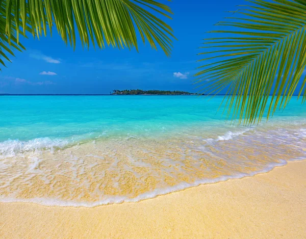 Palmenblätter Über Einem Tropischen Sandstrand Türkisfarbenes Meer Und Insel Hintergrund — Stockfoto