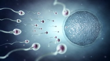 Açık mavi arkaplanda sperm ve yumurta hücresi, 3 boyutlu illüstrasyon