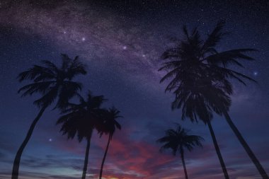 Yıldızları ve takımyıldızları olan, özel ve rahatlatıcı tatil konseptiyle tropikal bir adada sihirli bir yaz gecesi gökyüzü.