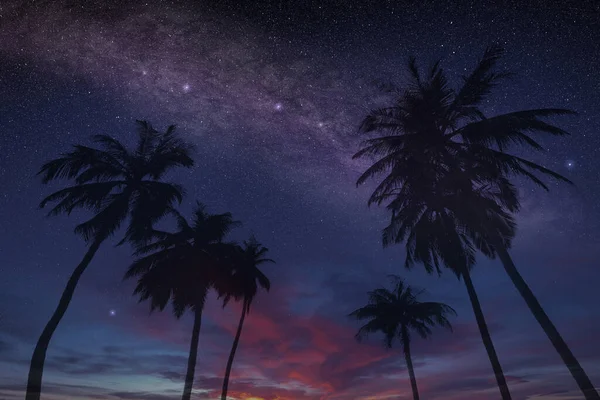 Magico Cielo Notturno Estivo Isola Tropicale Con Stelle Costellazioni Esclusivo — Foto Stock