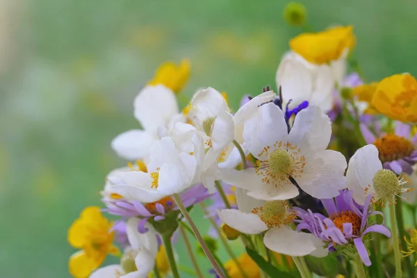 自然背景下的野生美丽花朵花束 — 图库照片