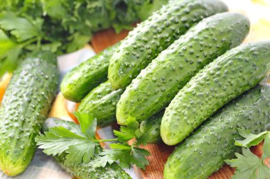 Sebze salatası - taze salatalık ve Yeşiller için malzemeler