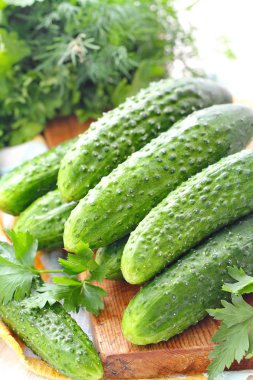 Sebze salatası - taze salatalık ve Yeşiller için malzemeler