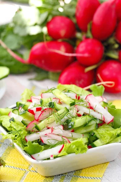 Insalata Vegetariana Con Ravanelli Cetrioli Olio Oliva — Foto Stock