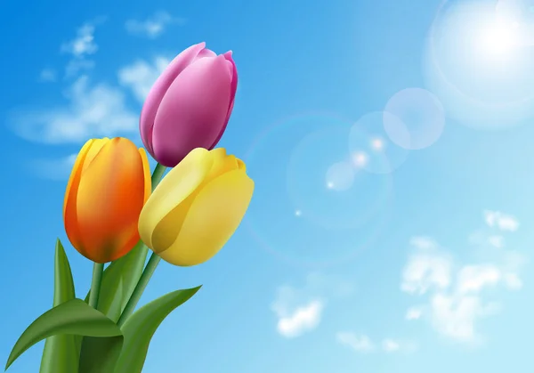 Tulipany na tle nieba — Wektor stockowy