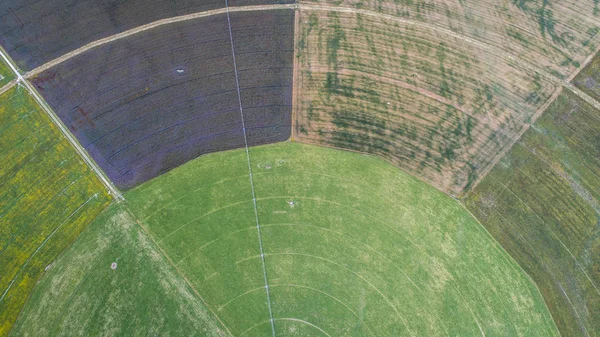 Circle Cultivation Fields Seen Drone New Zealand — Stock Photo, Image