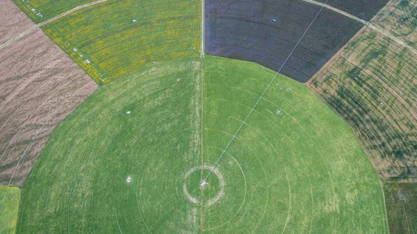 Campos Cultivo Círculo Visto Partir Drone Nova Zelândia — Fotografia de Stock